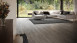 planeo click vinyl - Rigid oak rustic light grey (60061918-N)