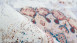 planeo carpet - Galaxy 200 Multi / Brown