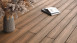 planeo Autentica solid plank Co-Ex red oak - wood texture