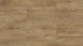 planeo click vinyl - Home Oak Honey | Impact sound insulation integrated (ASP-12001)