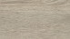 planeo click vinyl - Home Oak Mist | Impact sound insulation integrated (ASP-12003)