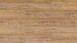 Wicanders Multilayer Vinyl - wood Resist Acardian Rye Pine (B0P5001)