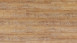 Wicanders Click Vinyl - Wood Hydrocork Arcadian Rye Pine, synchronised embossing