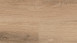 Wineo adhesive vinyl - 400 wood L Vivid Oak Nature | Synchronised embossing (DB283WL)