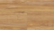 Wineo vinyl flooring - 800 wood Honey Warm Maple