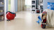 KWG Cork floor click - Morena Douro cream fine veneer