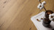 planeo click Vinyl - Rigid Oak Verona (DF-40601)