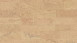 Wicanders click cork flooring - Cork Essence Identity Champagne