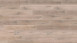Wineo Bioboden - 1000 wood XL Rustic Oak Taupe zum Klicken (PLC313R)