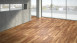 Parador Engineered Wood Flooring Classic 3060 European Cherry steamed vivid lacquer-finish matt 3-plank block