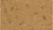 KWG click cork flooring - Lima natural HC