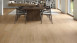 planeo Adhesive vinyl - Oak Genova | synchronous embossing (MF-3002)