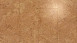 Wicanders click cork flooring - Cork Essence Originals Accent