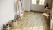 planeo click vinyl - Rigid Golden Sunrise | integrated impact sound insulation (P57206T)