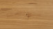 Parador Engineered Wood Flooring Basic 11-5 Oak rustic natural oiled Micro 4V bevel