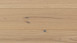 Parador engineered wood flooring Basic 11-5 Oak lacquer-finish matt white Micro 4V bevel