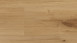 Parador laminate flooring - Basic 200 Oak Horizon Natur