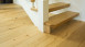 planeo Parquet Flooring - COUNTRY European Oak (PU-000150-N)