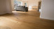 planeo parquet - oak, classic, brushed, uv-oiled