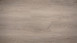 planeo Rigid XL - oak vivid beige