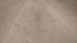planeo Rigid XL - oak vivid beige