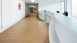 Project Floors vinyl flooring - floors@home30 PW 3110-/30