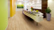 Project Floors Adhesive Vinyl - floors@home20 PW3913 /20