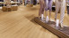 Project Floors vinyl flooring - Click Collection 0.55mm - PW4011/CL55 Plank pattern